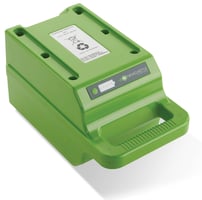 Nucleus battery
