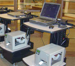 Sporting Goods Retailer